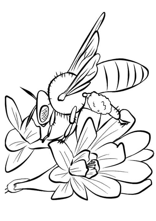 Flower Sucking Bee