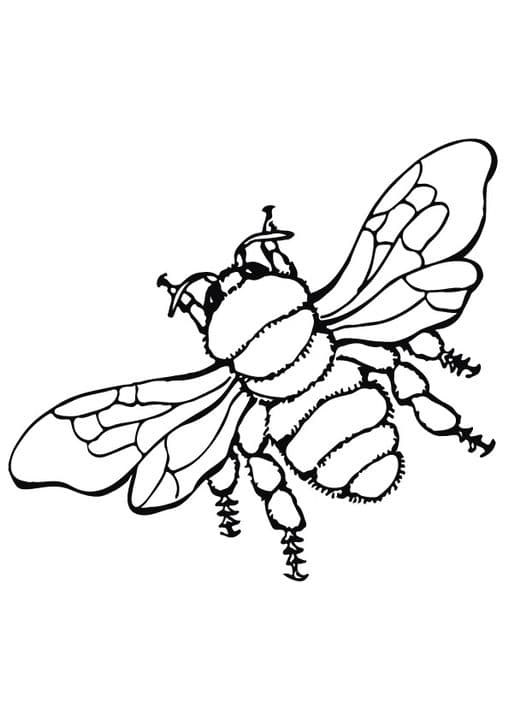 On Air Bee