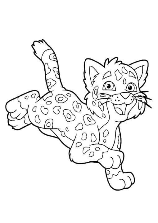 Cheetah Cub