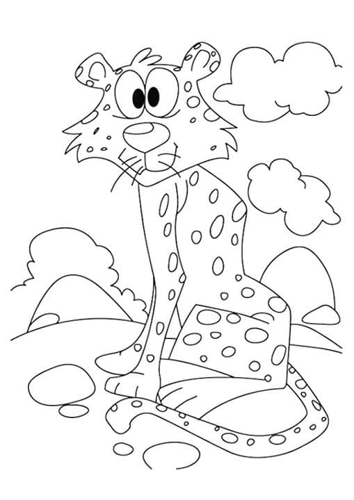 Cheetah Cub 2