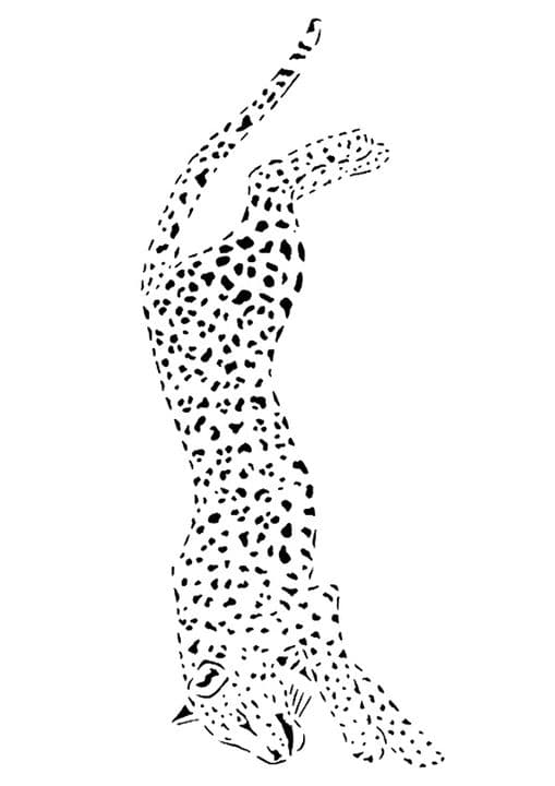 Cheetah on Hunt