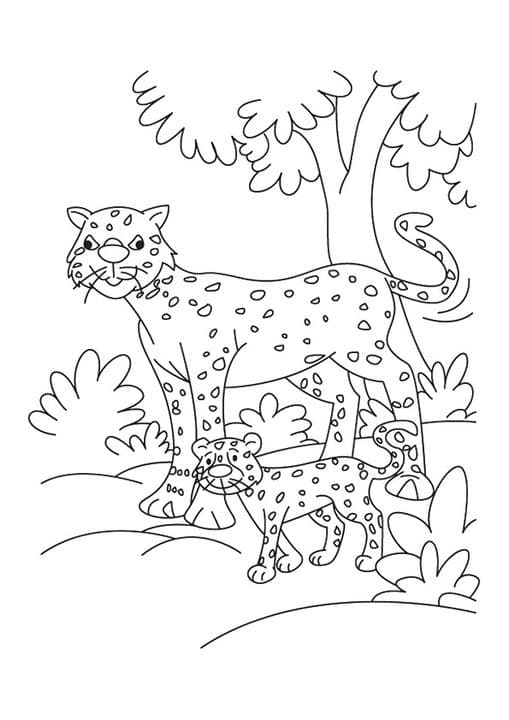 Cartoon Cheetah