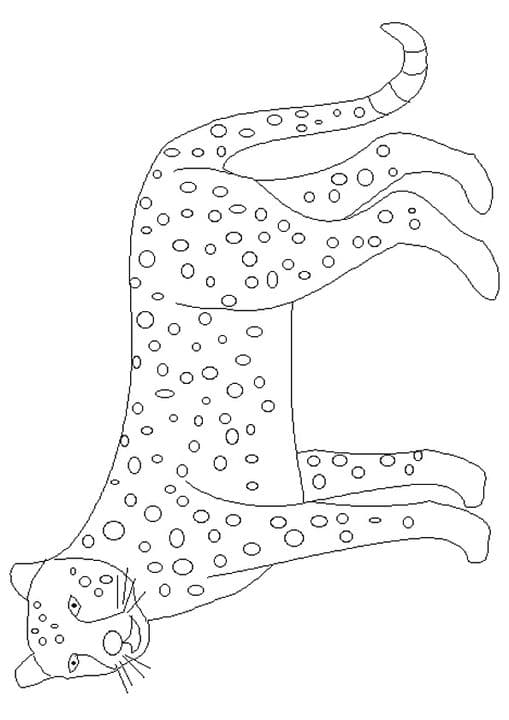Dotted Cheetah