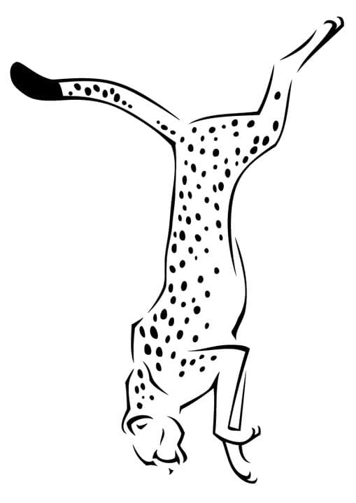 Hungry Cheetah