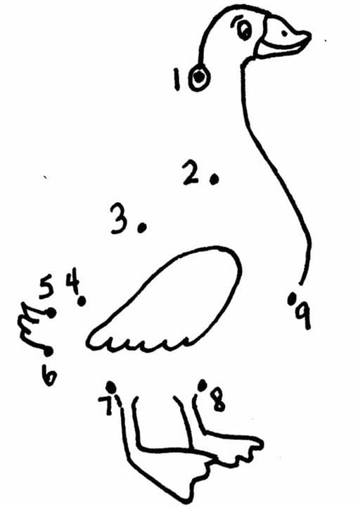 Dot-to-dot Duck