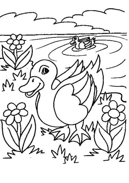 Simple Duck