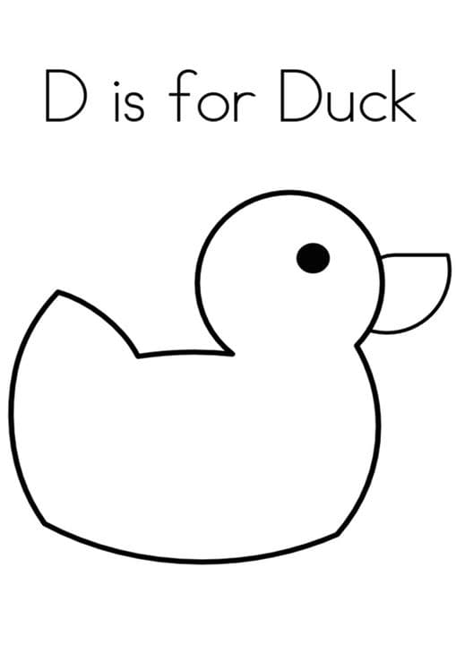 Swimming Duck