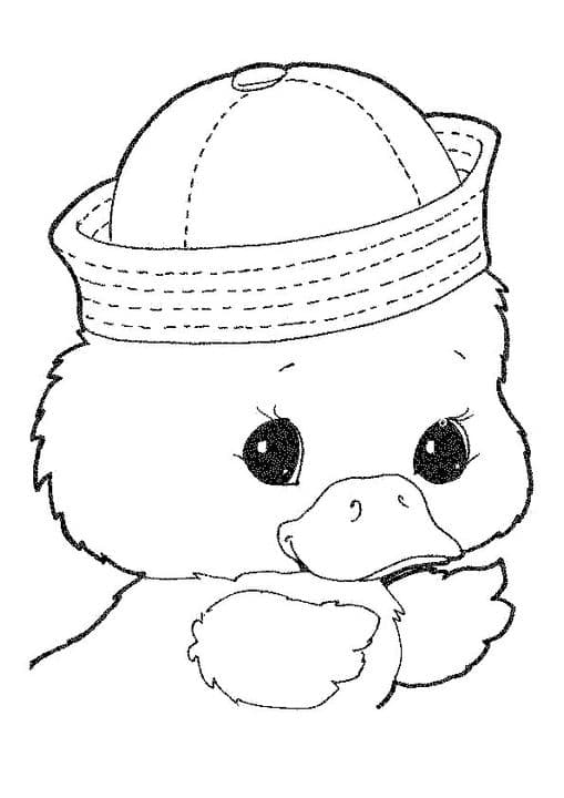 Baby Duck