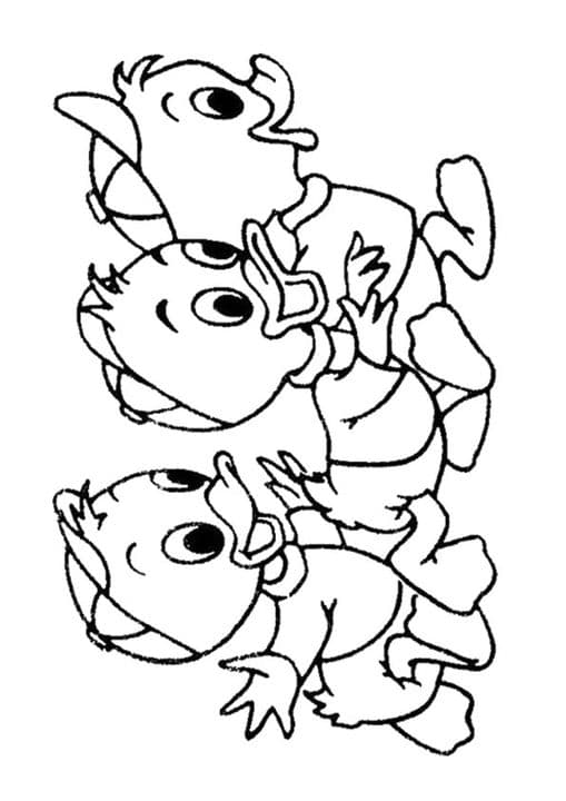 3 Donald Ducks