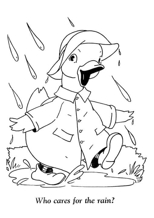 Donald Duck in Rain