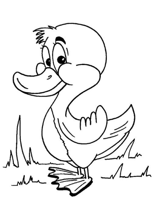Cute Duckling