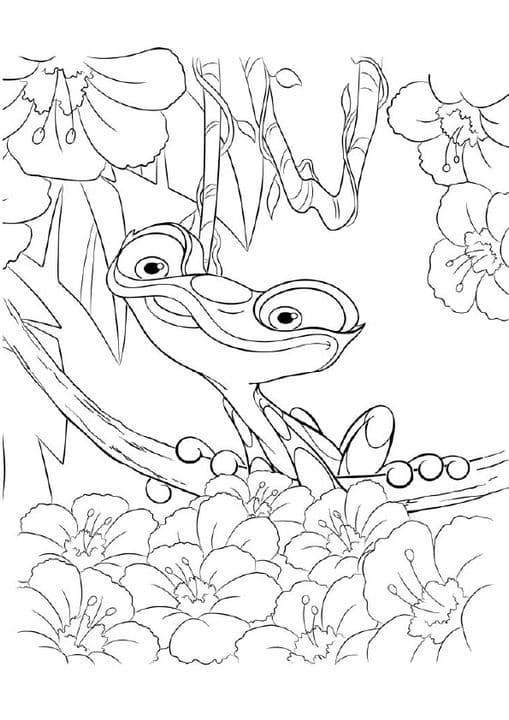 Gabi Frog