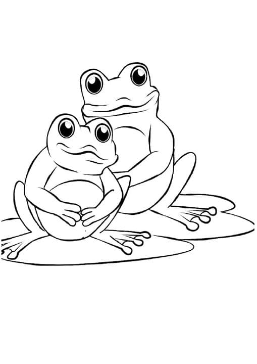 Mama Baby Frog