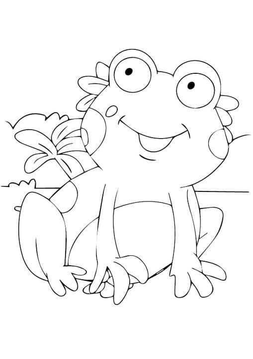 Cute Frog