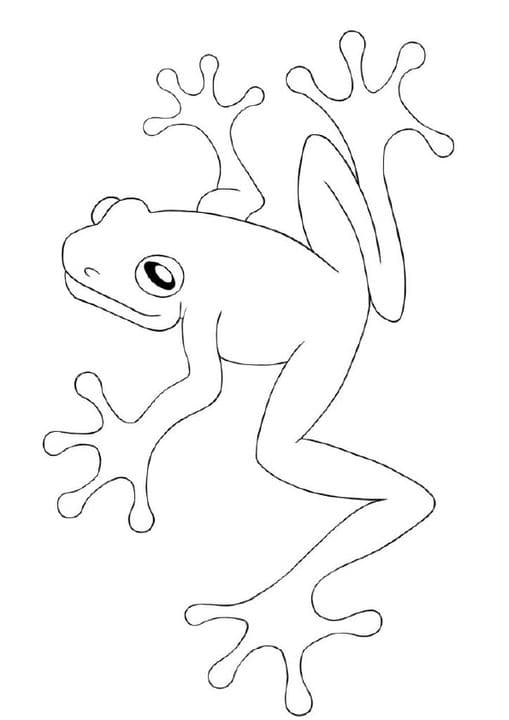 Cute Frog 2