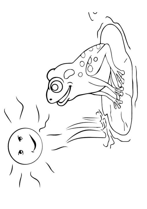 Sun-bathing Frog