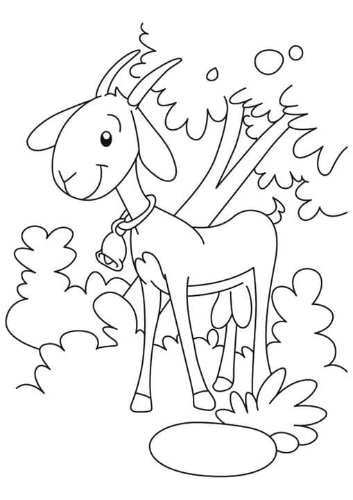 Goat Under Tree