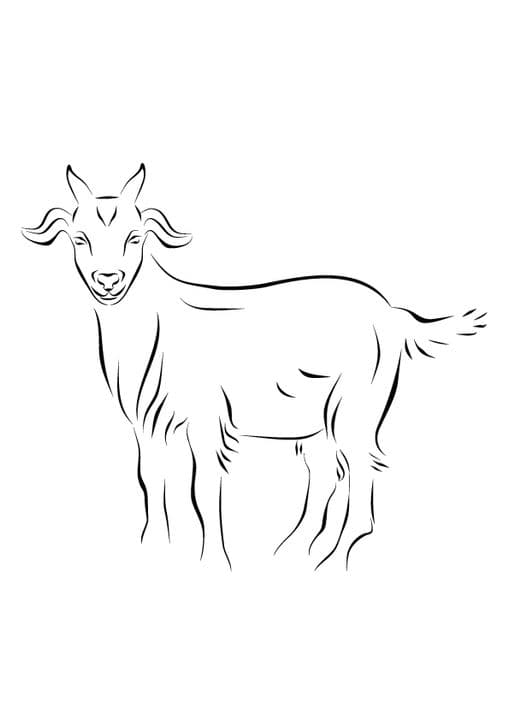 Goat Art