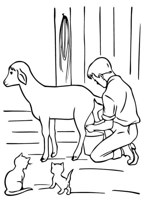 Goat with Cats