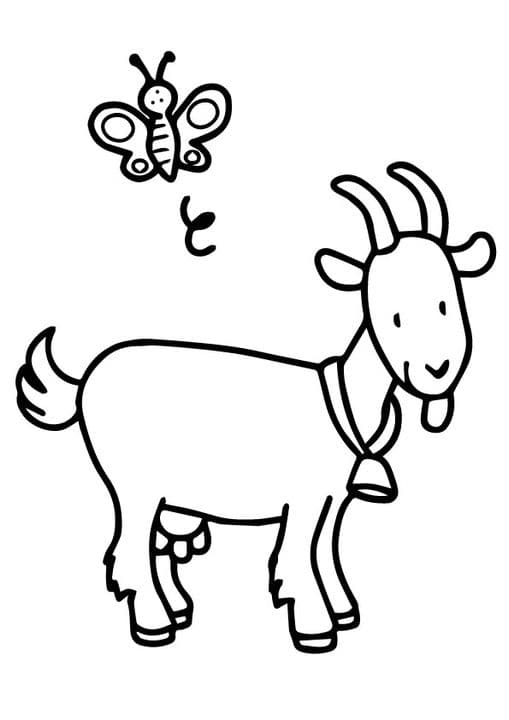 Goat & Bee