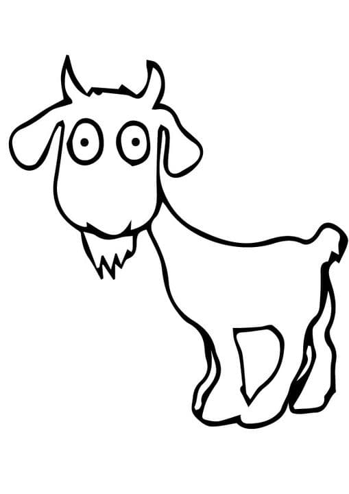 Cute Goat 2