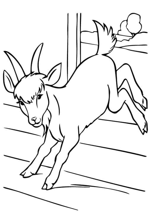 Dancing Goat 