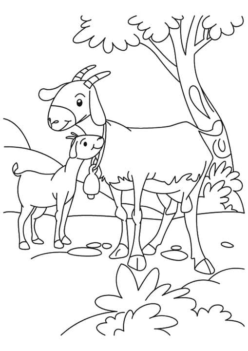 Baby Goat Loving