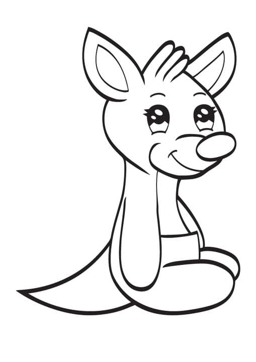 Baby Kangaroo