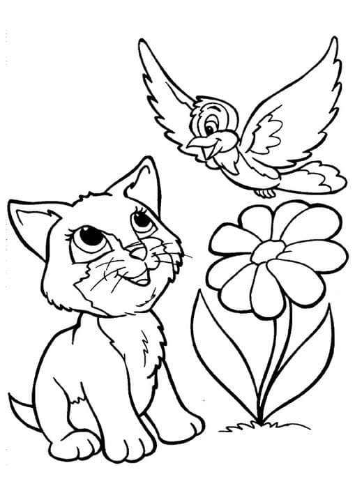 Kitten Playing with Bird