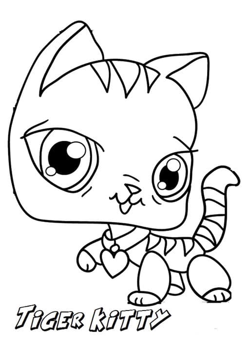 Tiger Kitty