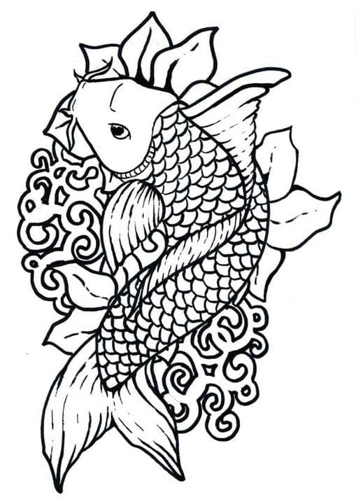 Koi Fish