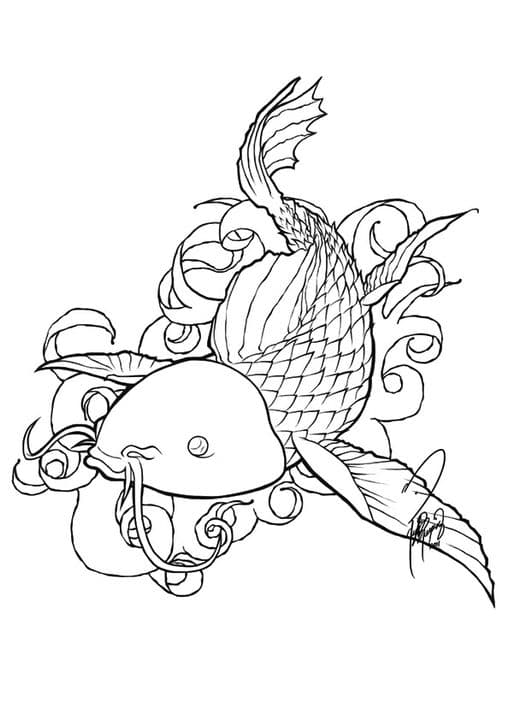 Koi Fish 2