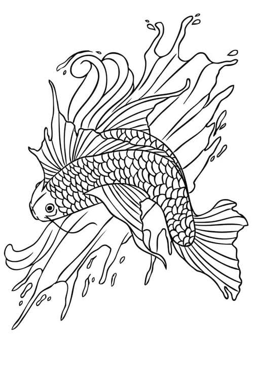 Koi Fish 3