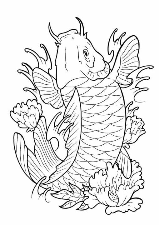 Koi Fish Laranj