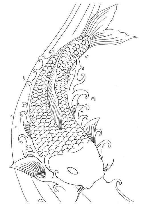 Koi Fish Dragon