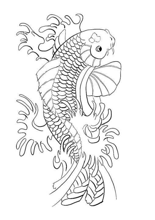 Koi Fish Lordka