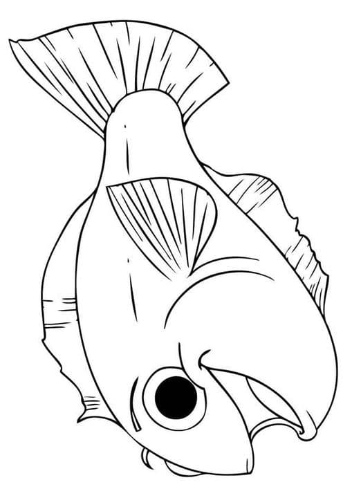 Happy Koi Fish
