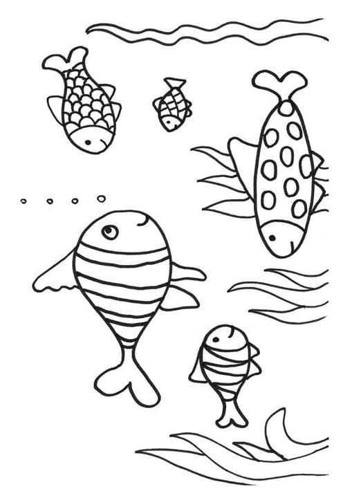 Koi Fish 5
