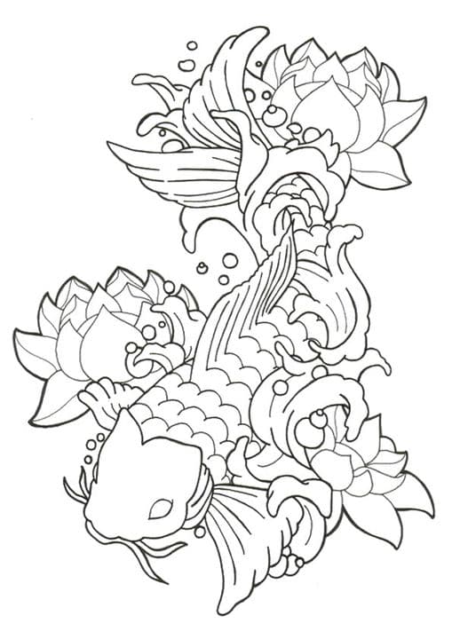Lotus Koi Fish