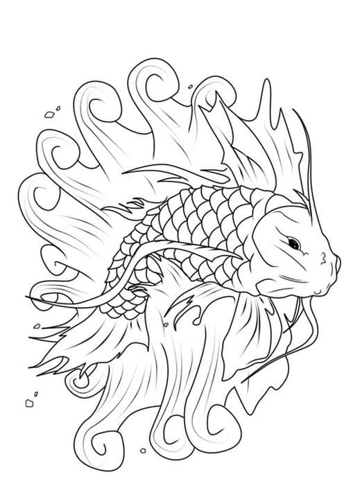 Large Koi Fish
