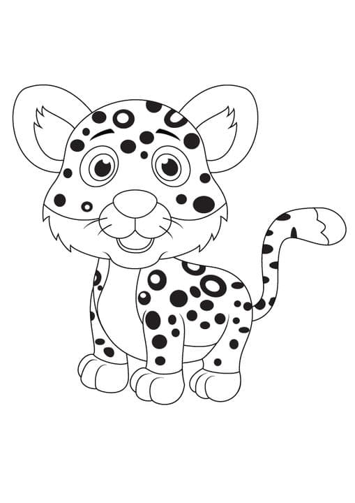 Funny Leopard