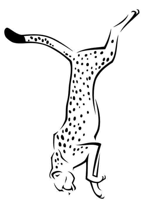 Cheetah jumping