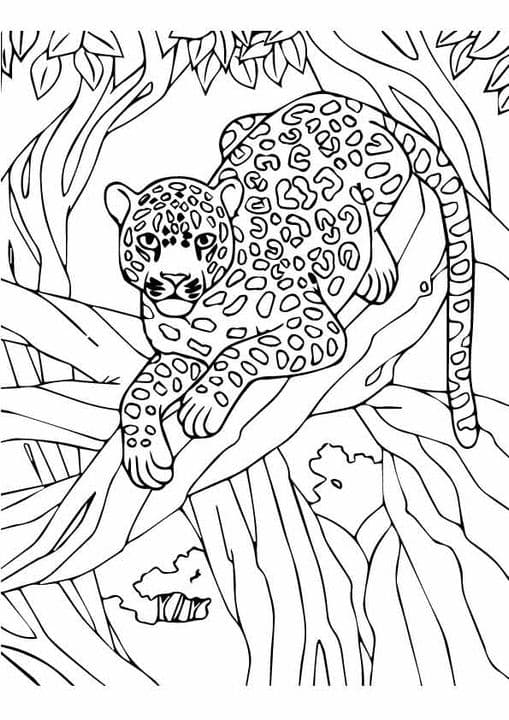 Leopard on tree