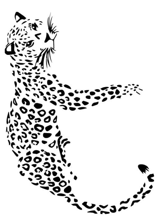 Lurker Leopard