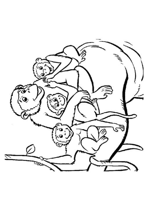 Monkey Family