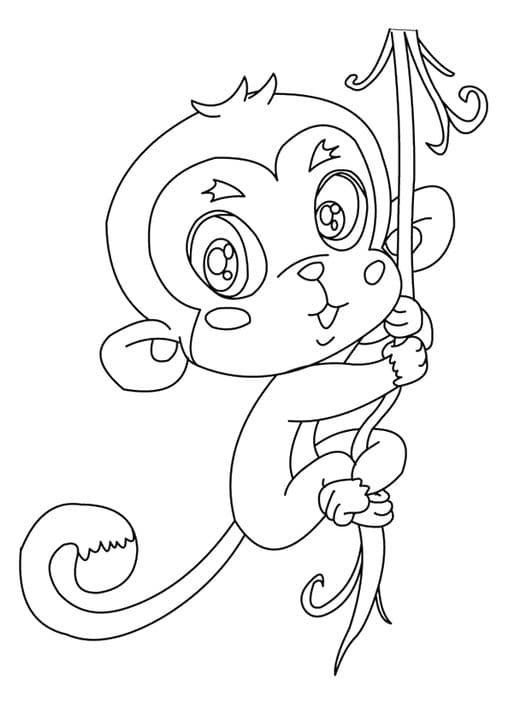 Squirrel Monkey