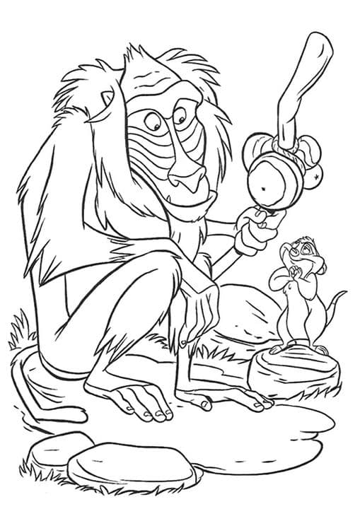Baboons Monkey