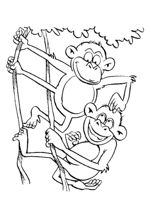 Playing Monkey 