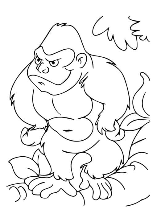 Gorillas in Forest