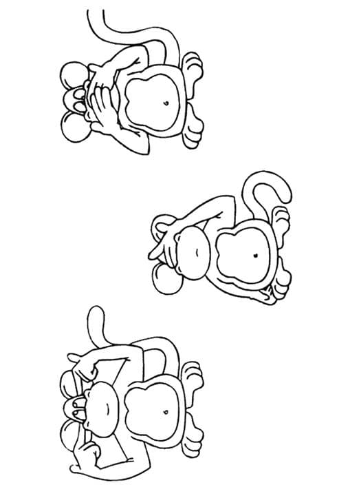 Wise Monkeys